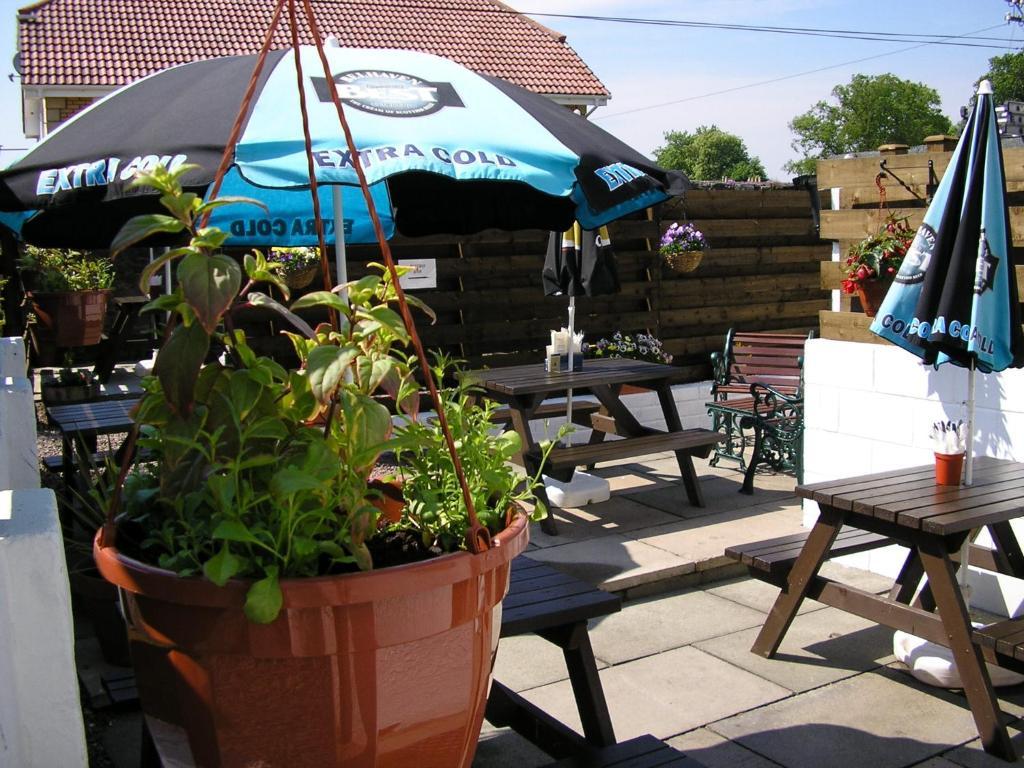The Robertson Arms Hotel Carnwath Esterno foto