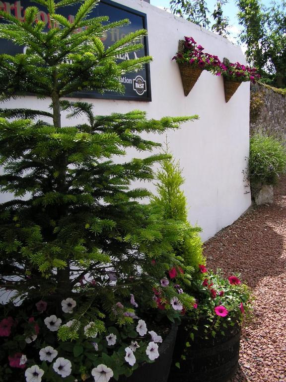 The Robertson Arms Hotel Carnwath Esterno foto