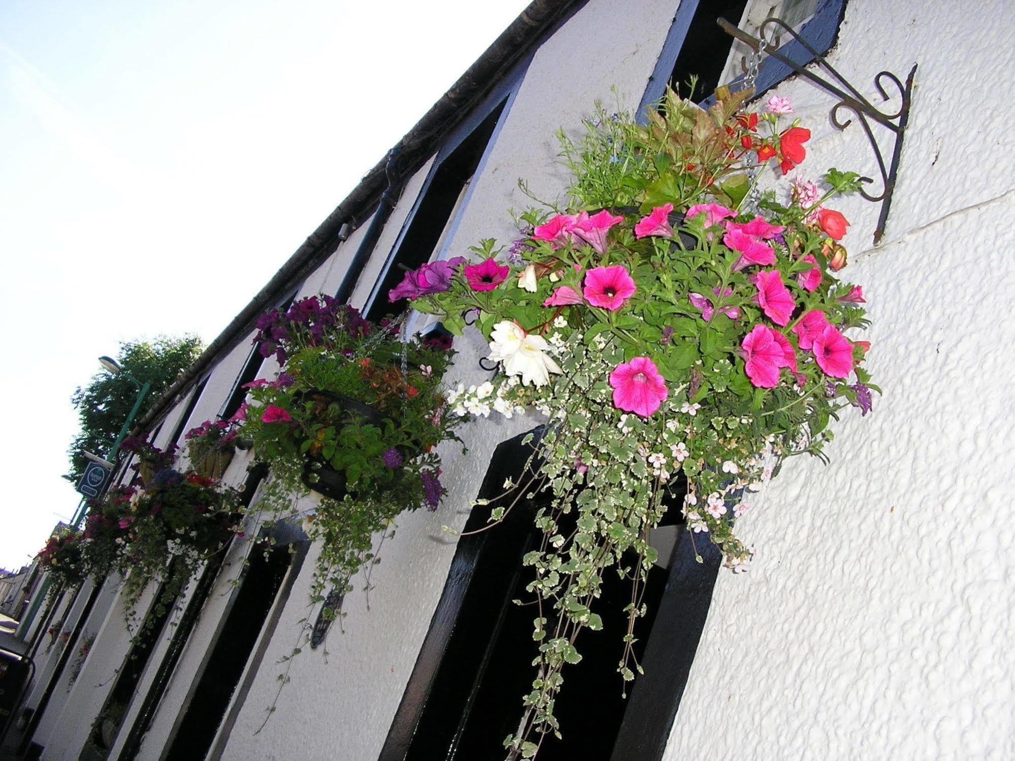The Robertson Arms Hotel Carnwath Esterno foto